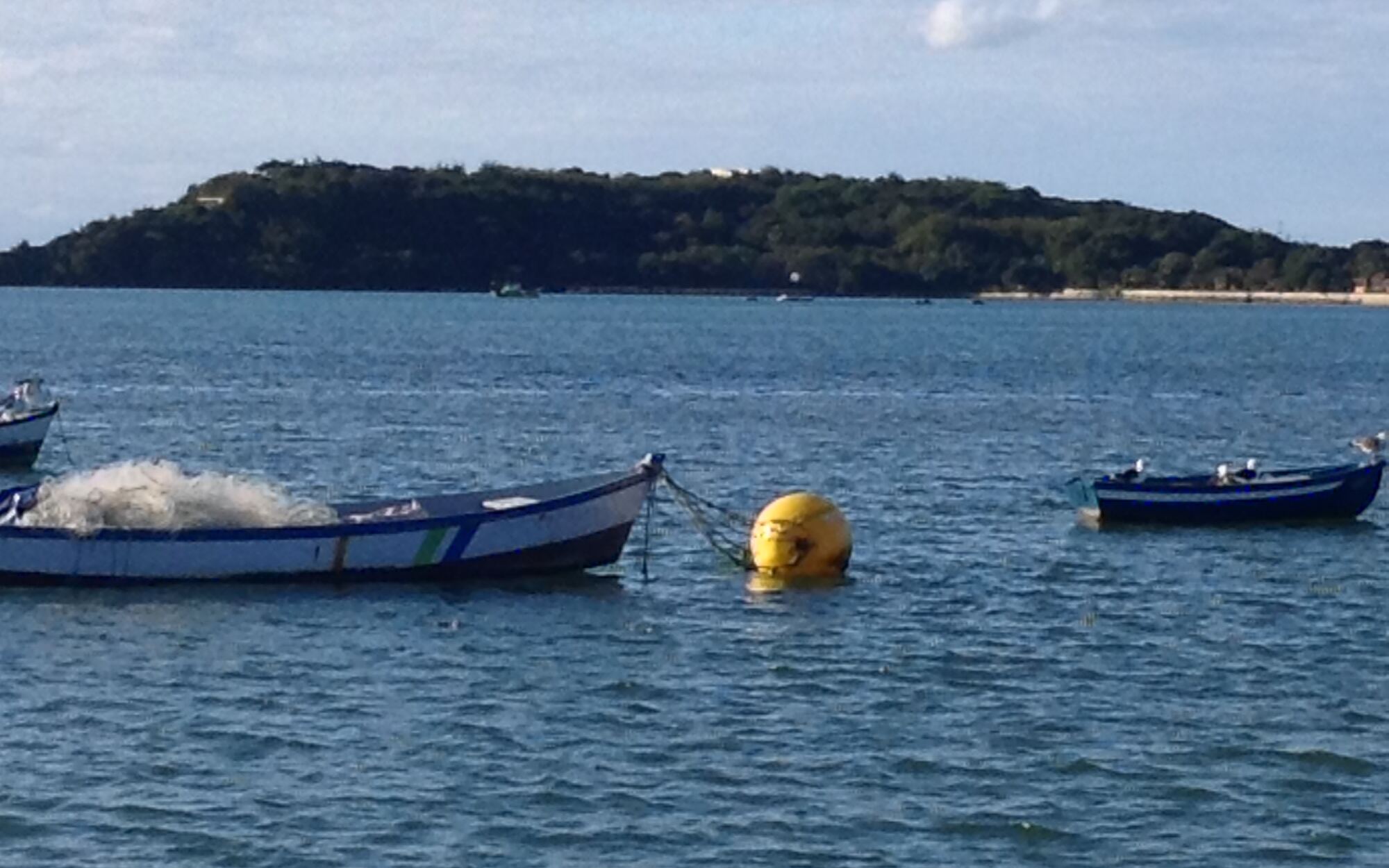 Vela em Búzios e Cabo Frio
