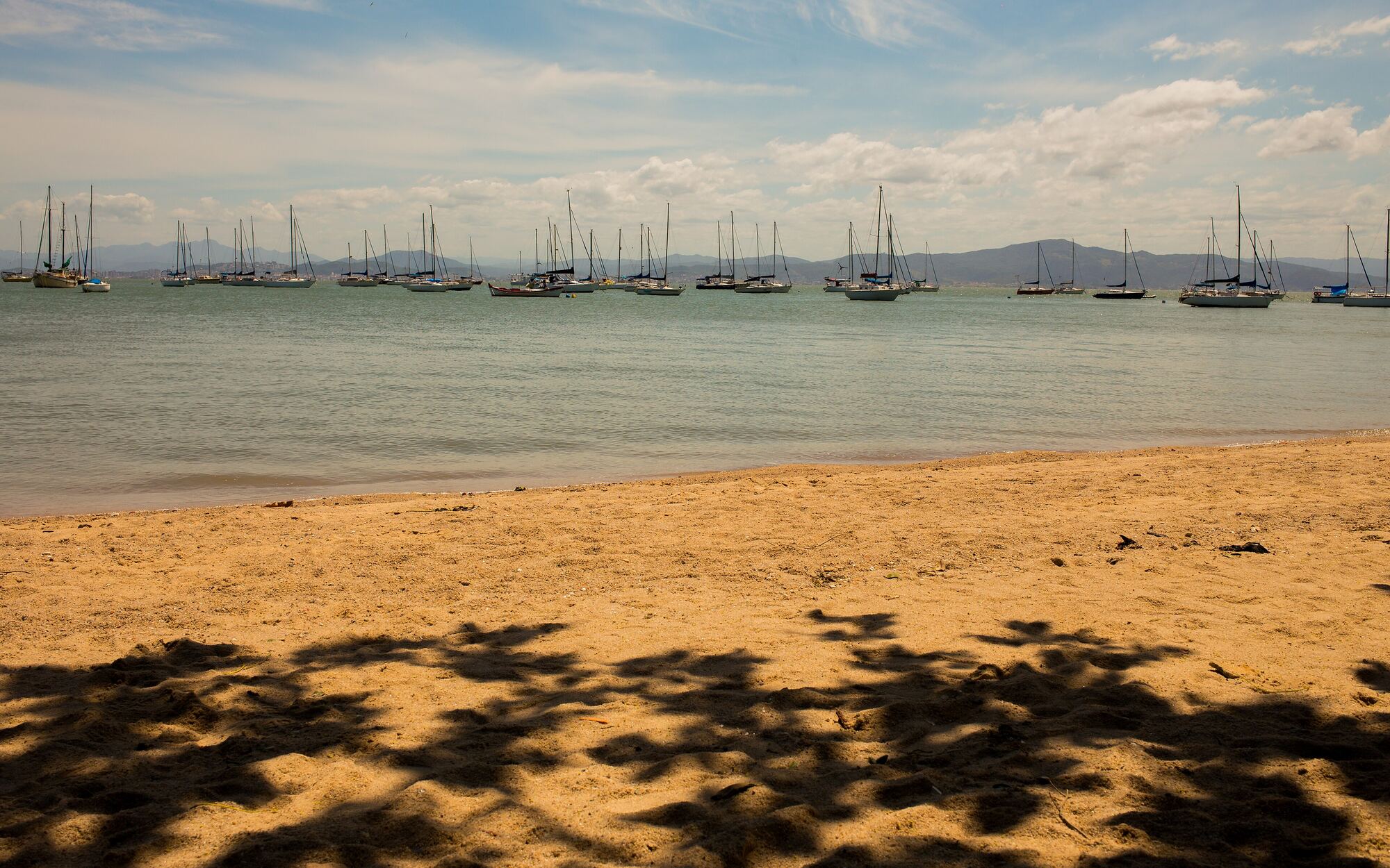 Vela em Florianópolis
